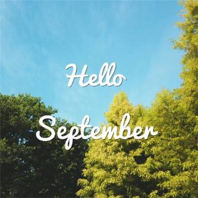 m6米乐网页版登录入口截图