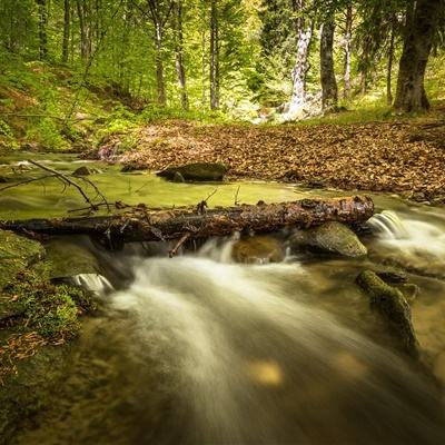 开玩棋牌app下载
