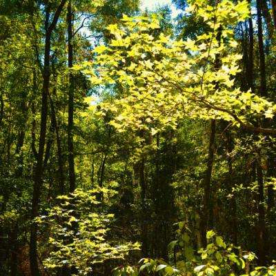 m6米乐网页版登录入口