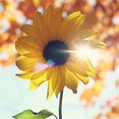 尊龙网址登录官网