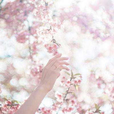 998娱乐彩票安卓APPapp下载